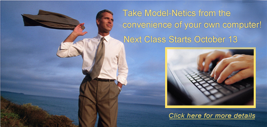 Model-Netics link